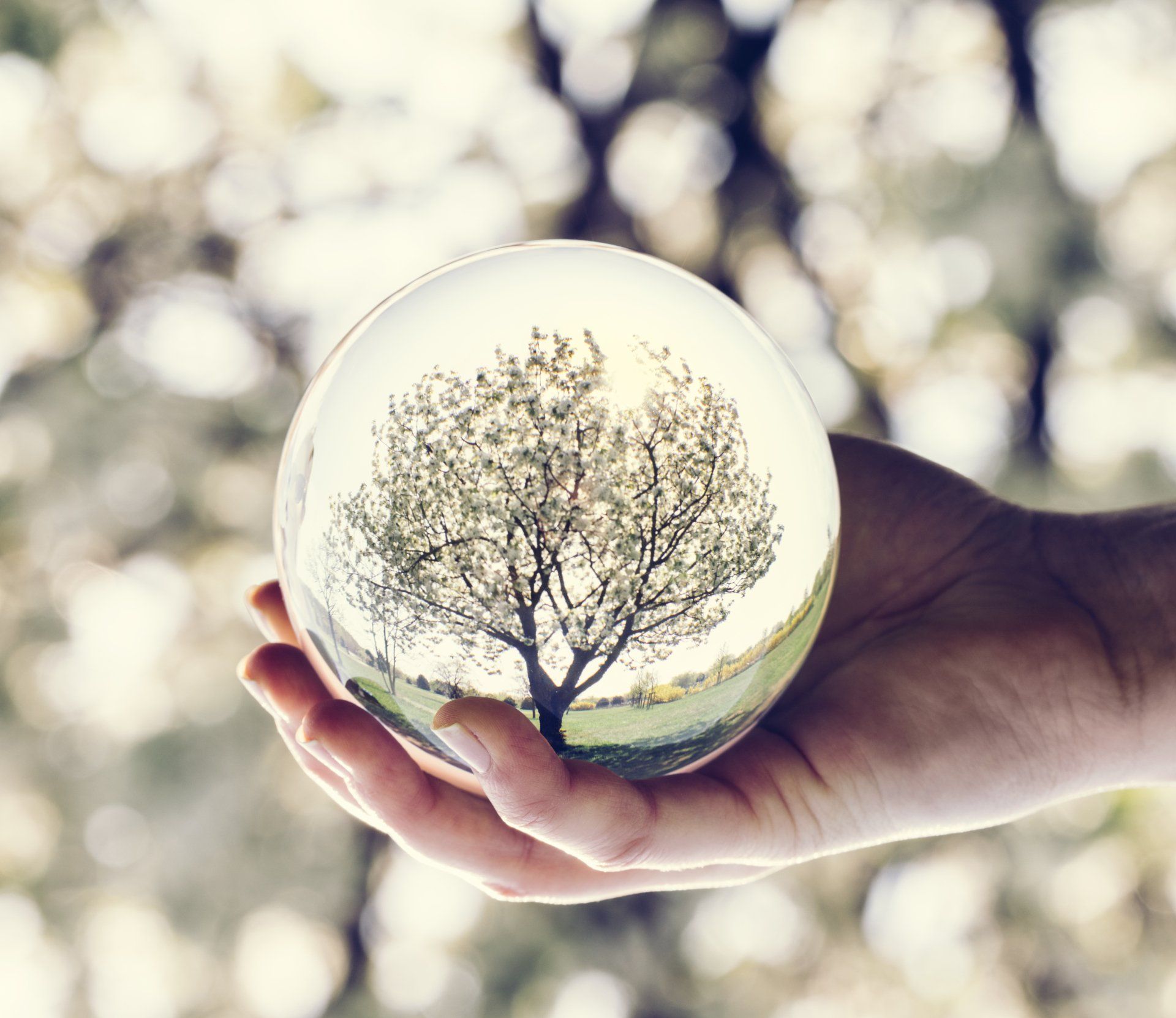 glass ball