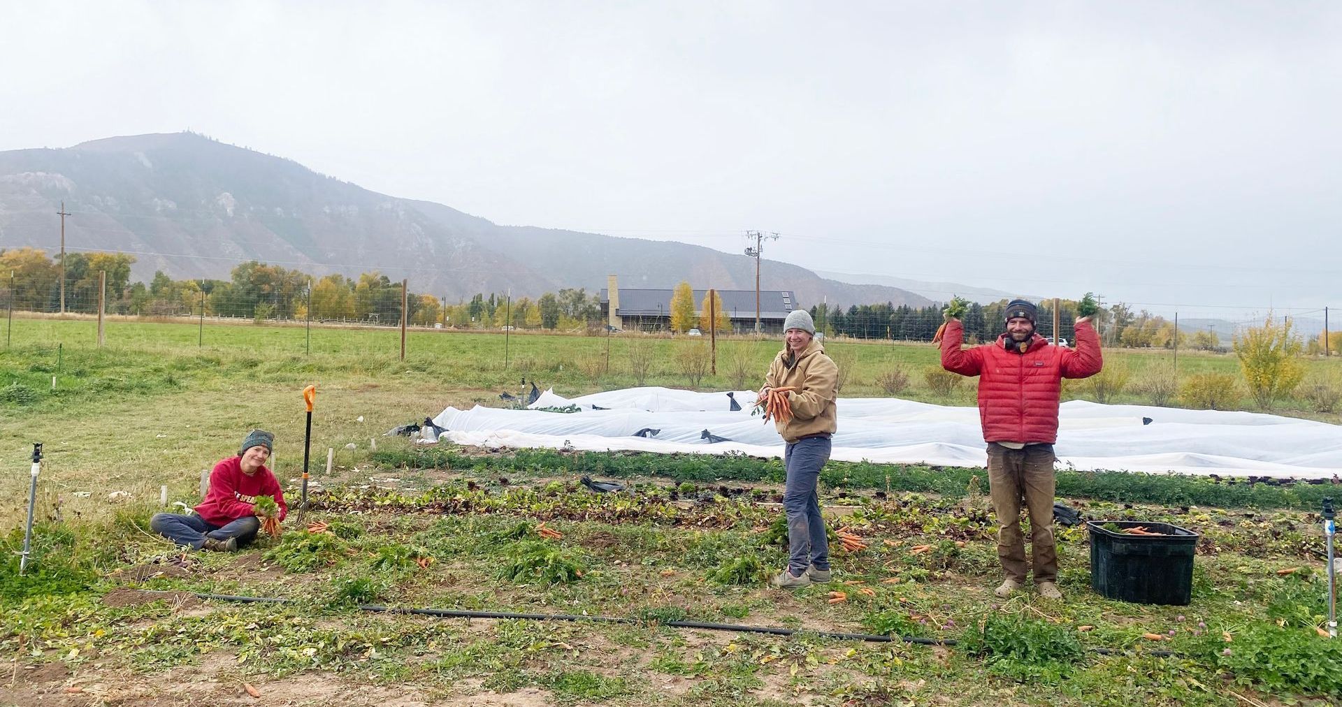 Group of volunteers planting trees at a community sustainability event hosted by CORE in the Roaring Fork Valley.