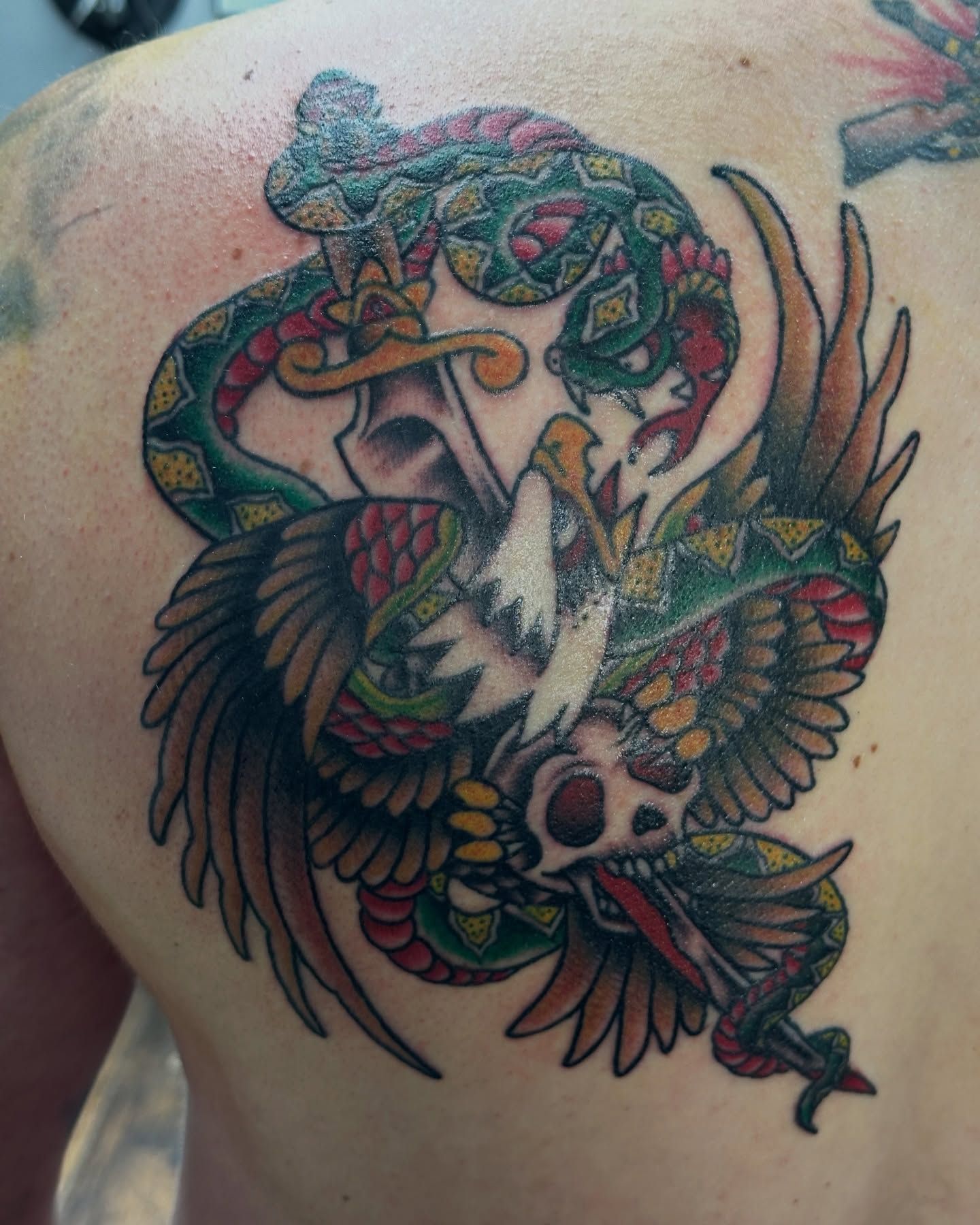 Tattoo by Eric Estrada at The Widow's Son Tattoo Co. in Gilbertsville, PA — a bird and dagger piece in full colour on a shoulder