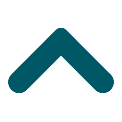Scroll to Top up-arrow icon