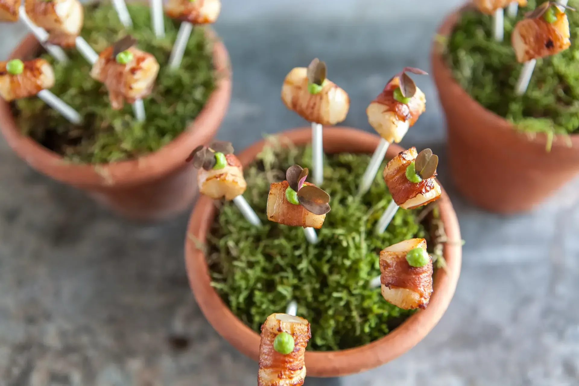 TPM Catering