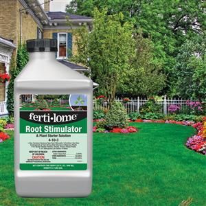 Root stimulator