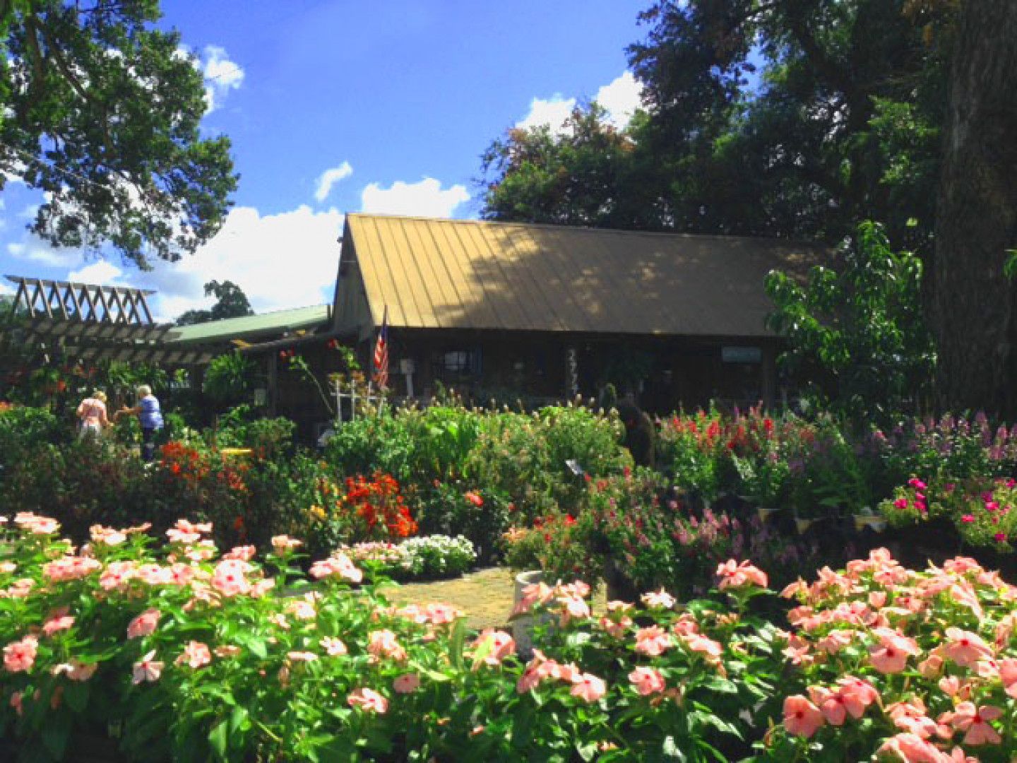 A House With Beautiful Flowers Outside