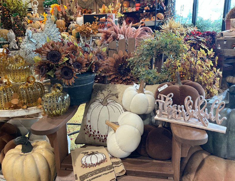 Fall Video