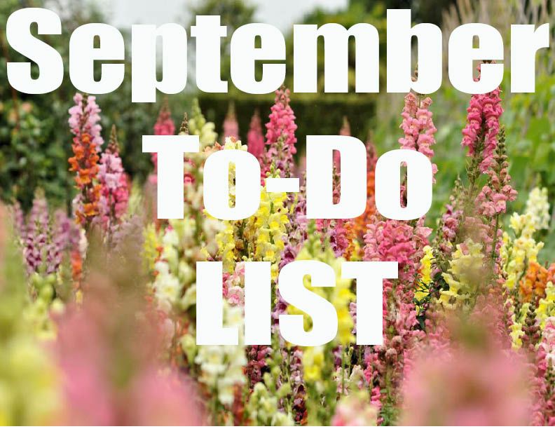 September Gardening List