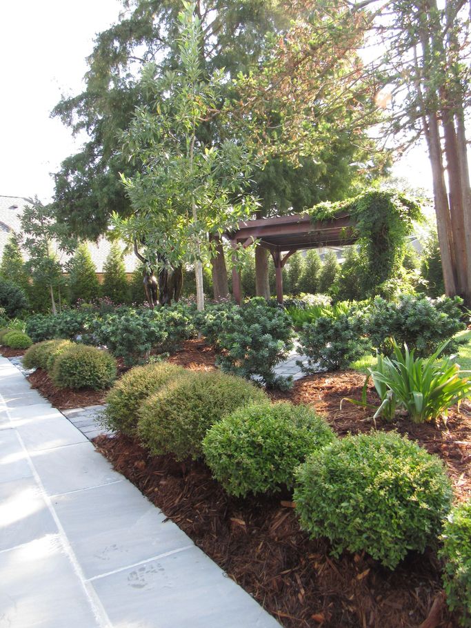 Professional Worker Trimming a Bush