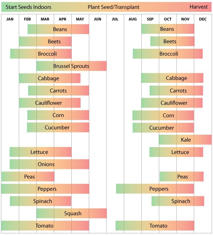 Zone 9 Planting Schedule