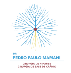 Logotipo: ramificação semelhante a uma árvore a partir de um ponto vermelho central, raízes amarelas