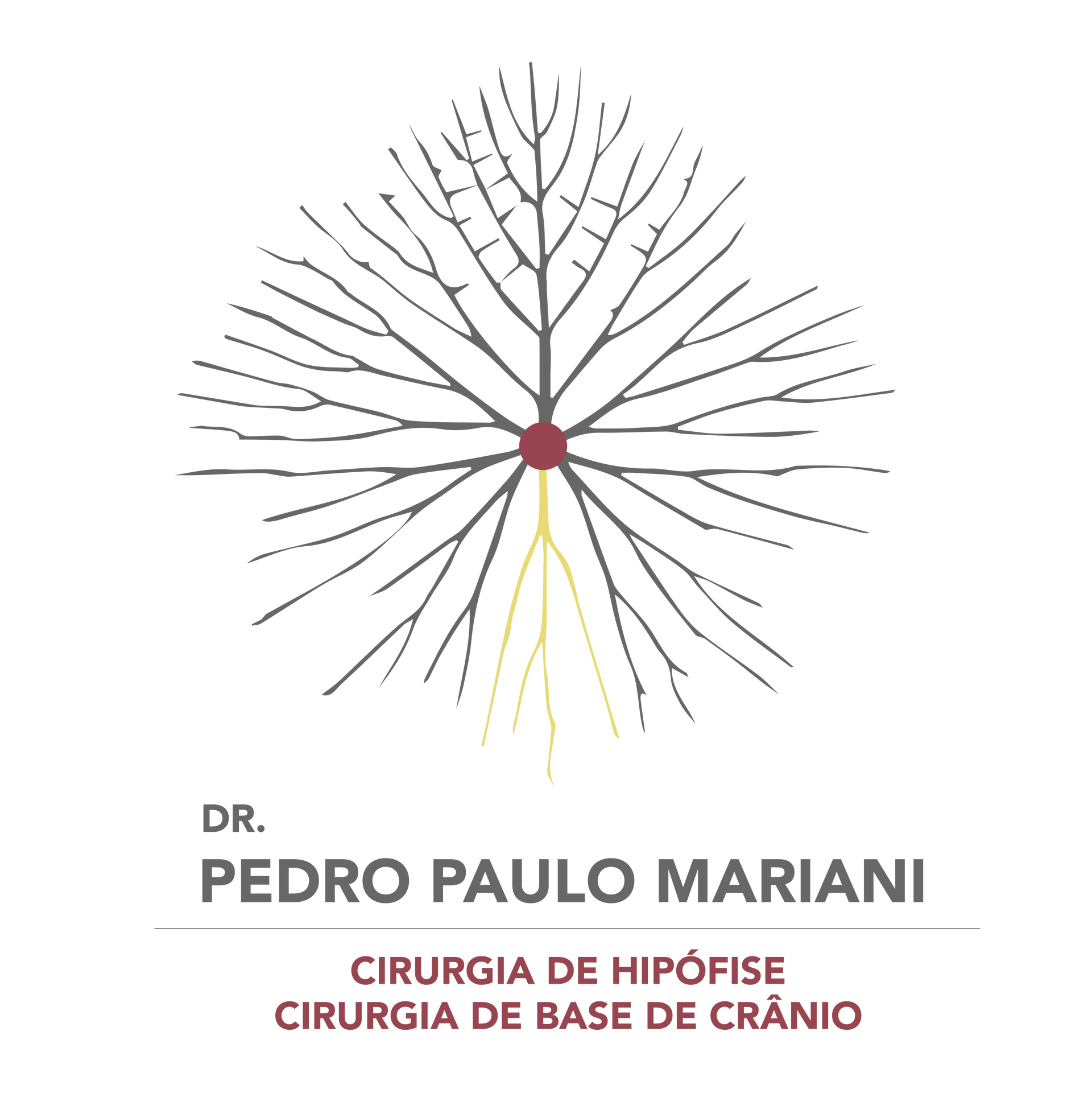 Logotipo: ramificação semelhante a uma árvore a partir de um ponto vermelho central, raízes amarelas