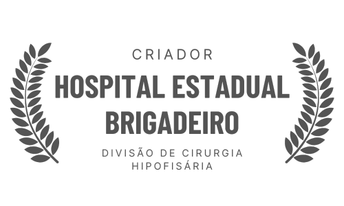 Logo for Hospital Estadual Brigadeiro, with text and laurel wreaths.