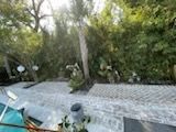 A blurred image of a patio with trees in the background.
