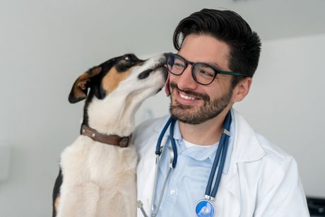 Dog Licking The Doctor — Lumberton, NC — Baird's Animal Hospital Dog Licking The Doctor — Lumberton, NC — Baird's Animal Hospital