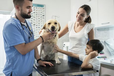 Emergency Room With The Family Dog — Lumberton, NC — Baird's Animal Hospital Emergency Room With The Family Dog — Lumberton, NC — Baird's Animal Hospital