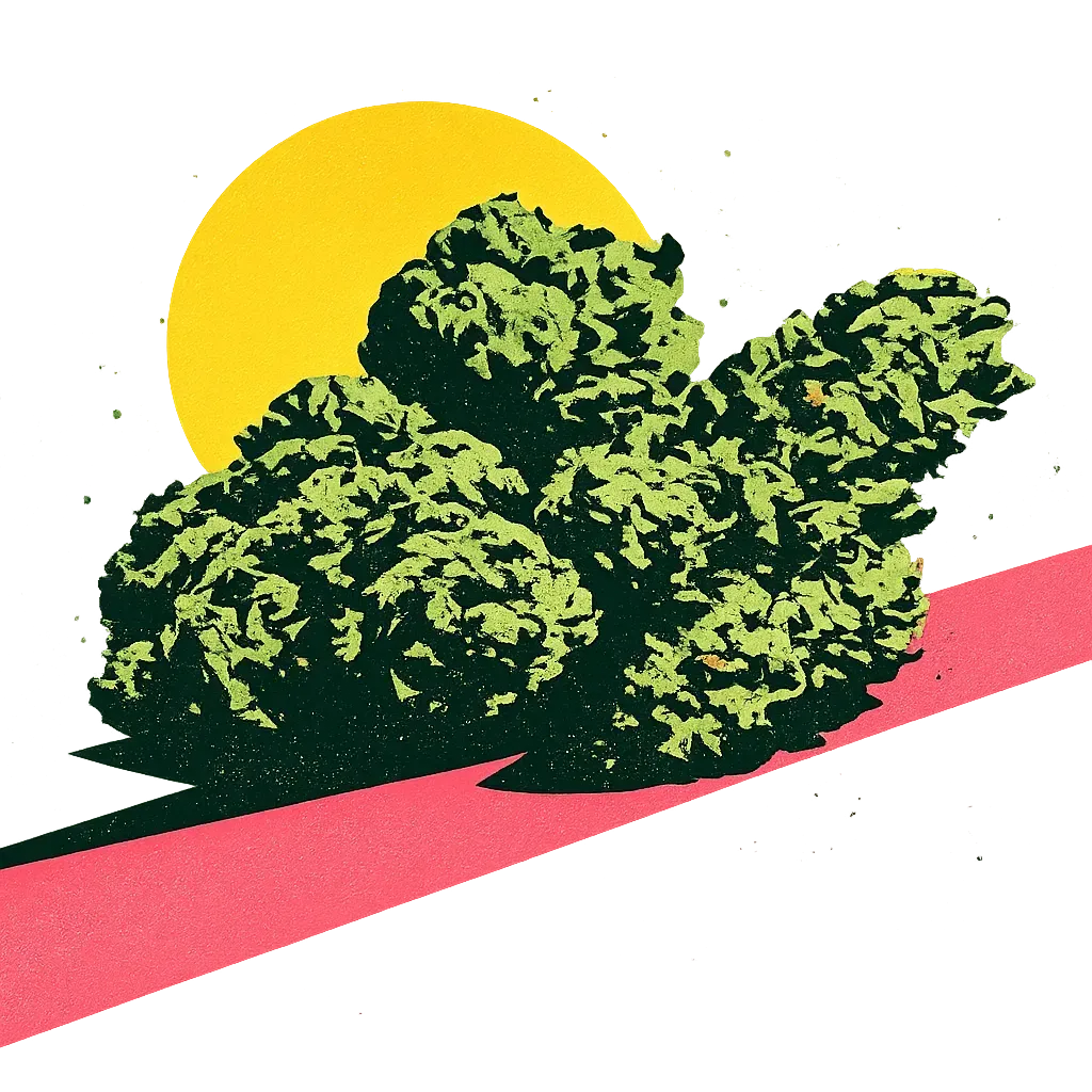 Stylized green bushes with a yellow sun behind them on a pink diagonal slope.