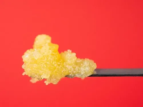 Yellow crystalline substance on a black rod against a bright red background