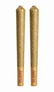 Three slim green snack sticks in clear packaging labeled “STICKS” on white background