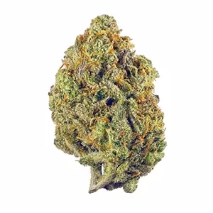Purple cannabis bud with orange hairs on a white background