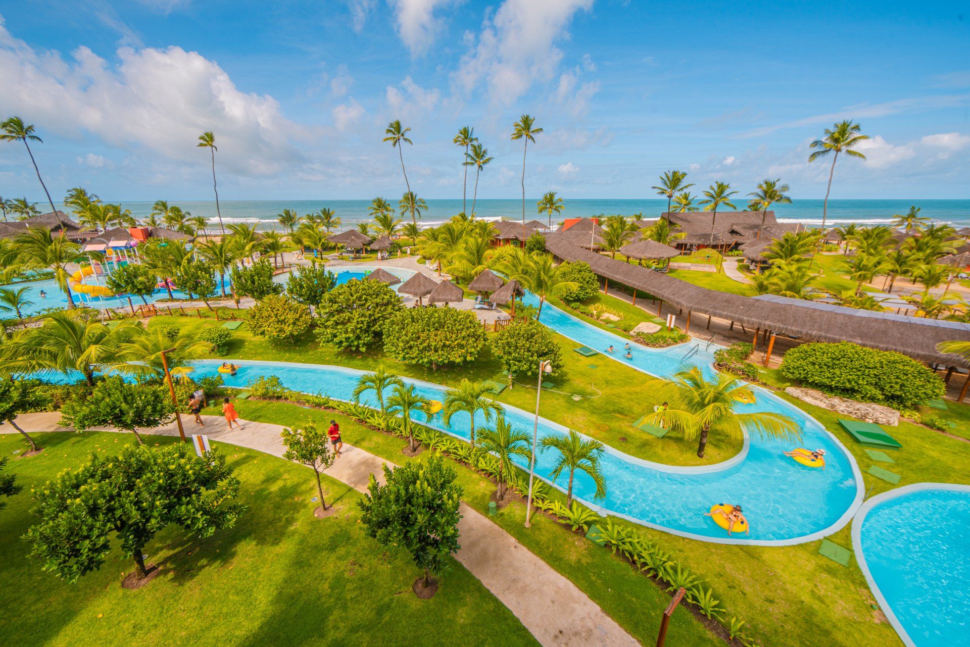 Tropical pool reflecting the sky, surrounded by coconut trees and loungers.