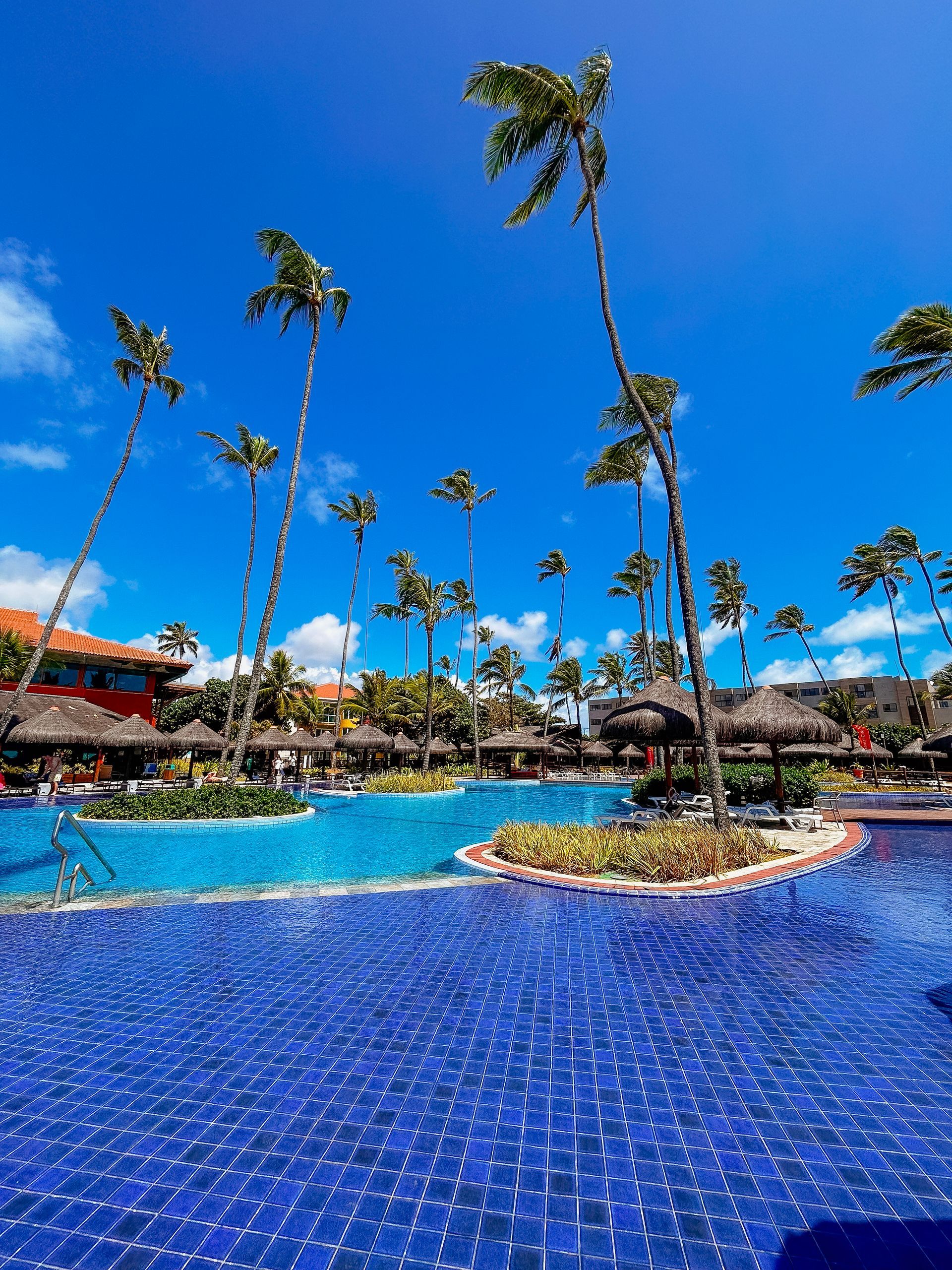 Vista ampla de uma grande piscina de azulejos azuis escuros. No cenário, há ilhas de plantas, guarda-sóis rústicos e coqueiros muito altos que tocam o céu azul intenso.