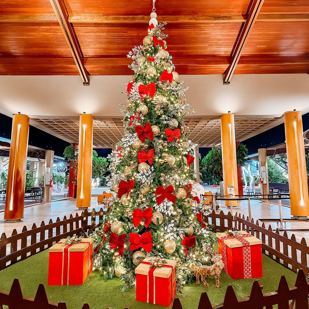Promoção de Natal no Enotel Porto de Galinhas com árvore de Natal decorada e presentes ao redor.