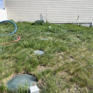 Backyard lawn beside a house with two hula hoops and several round ground covers.