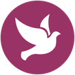 a white dove is flying in a purple circle