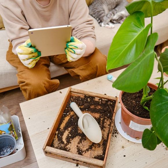 Woman gardener holds tablet in her hands for online learning on plants