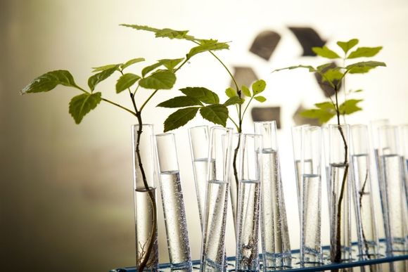 Chemical laboratory glassware equipment, ecology