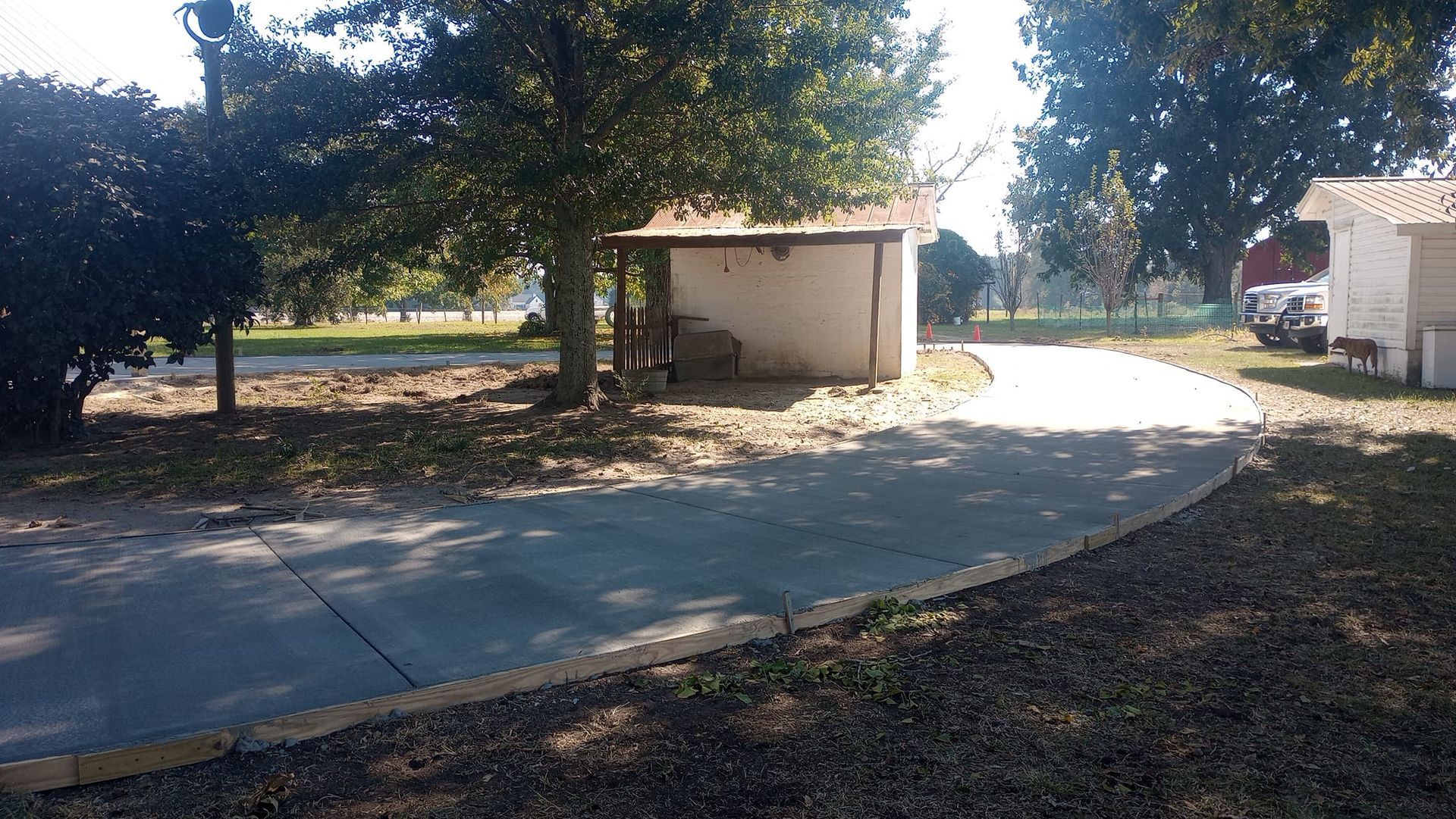 Driveway leads to a small shed under trees on a sunny day.