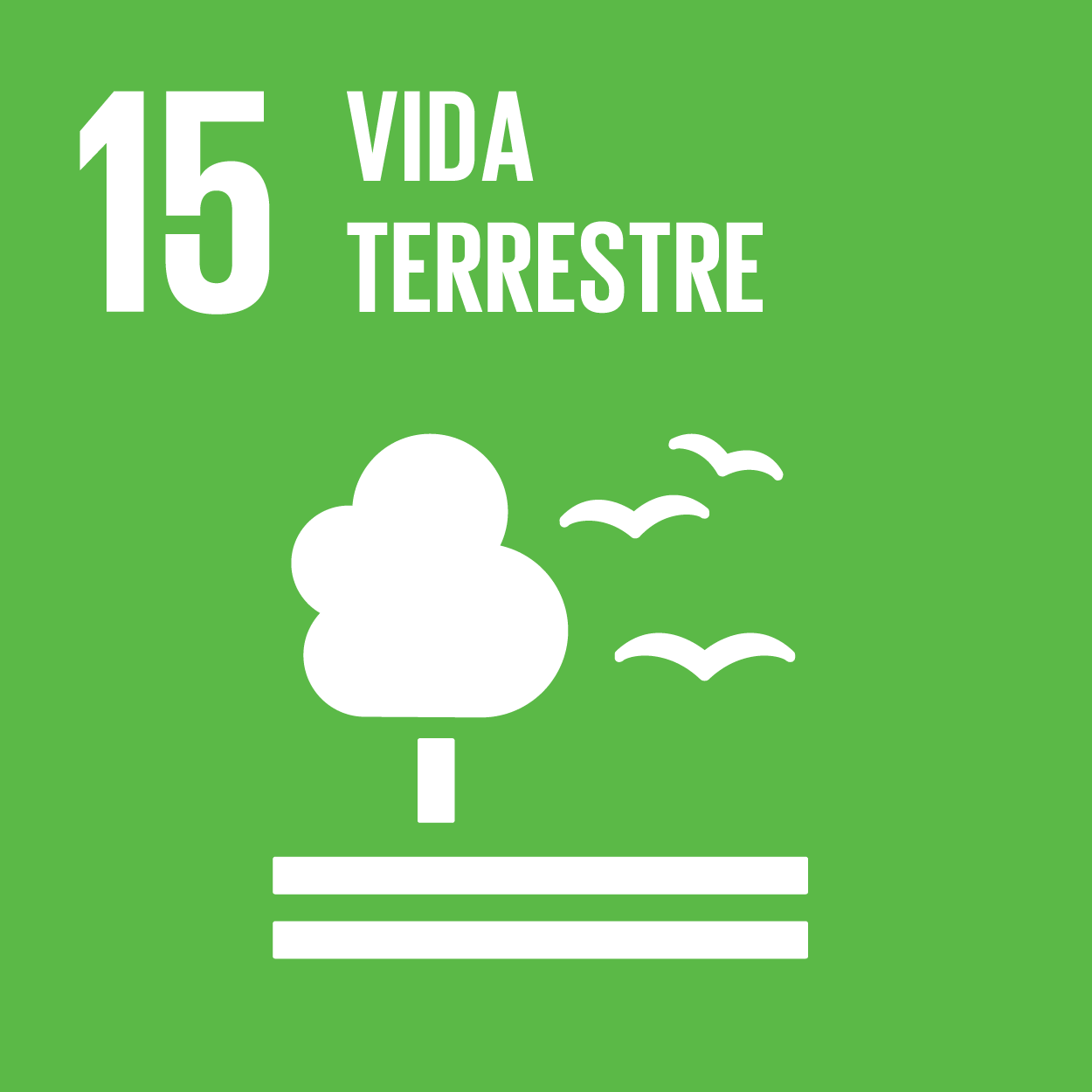Objetivo 15: Vida Terrestre. Quadrado verde com uma árvore e pássaros voando, texto branco 