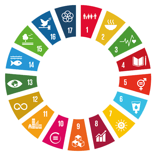 Roda dos Objetivos de Desenvolvimento Sustentável, ícones multicoloridos representando objetivos globais.