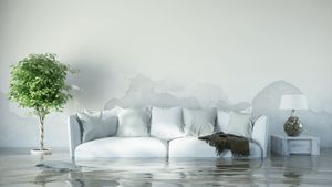 A white sofa and potted plant sitting in a room flooded with water, with water damage visible on the wall.