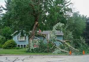 A large tree has fallen and rests across the roof of a light blue residential house on a residential street.