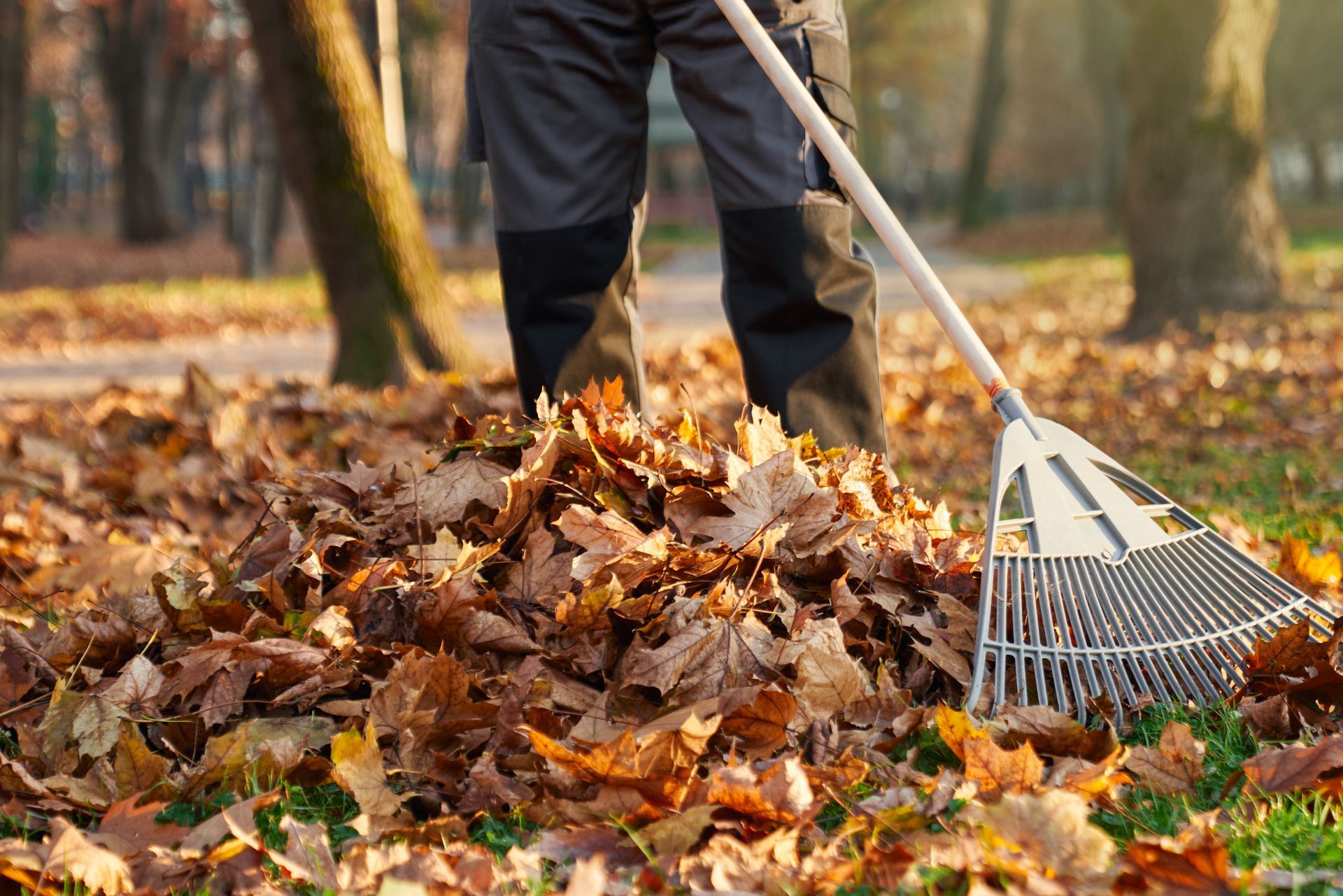 A person in work trousers uses a metal rake to gather a large pile of fallen brown autumn leaves in a park.