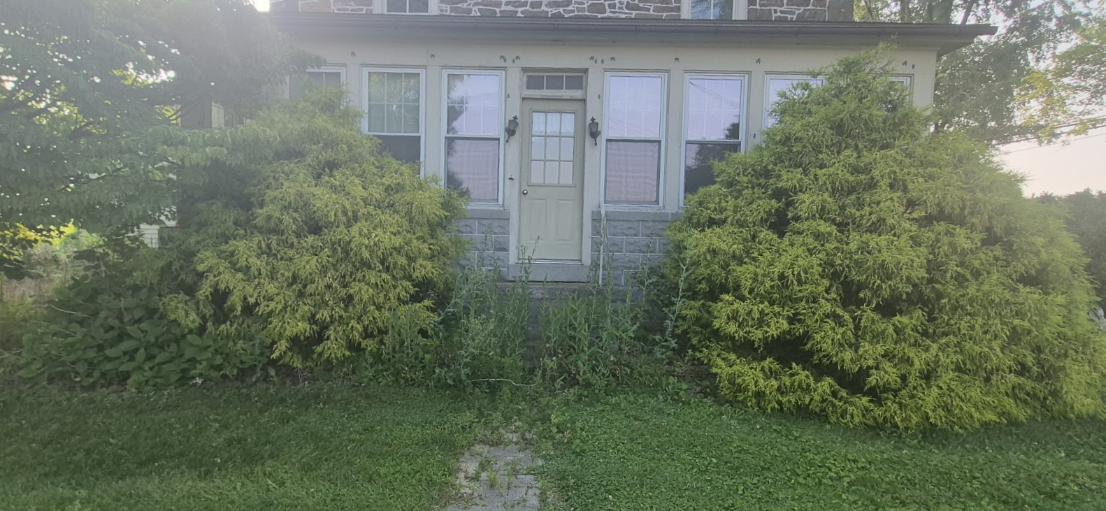 Overgrown front yard with bushes blocking a small house entrance under soft evening light