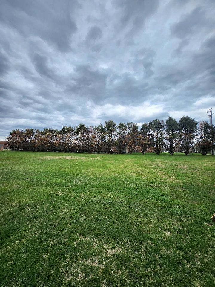 Wide grassy field under a cloudy gray sky with a line of trees in the distance