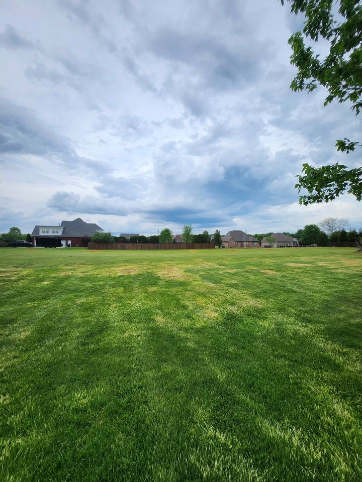 Wide green field under cloudy sky with houses in the distance and trees framing the top right