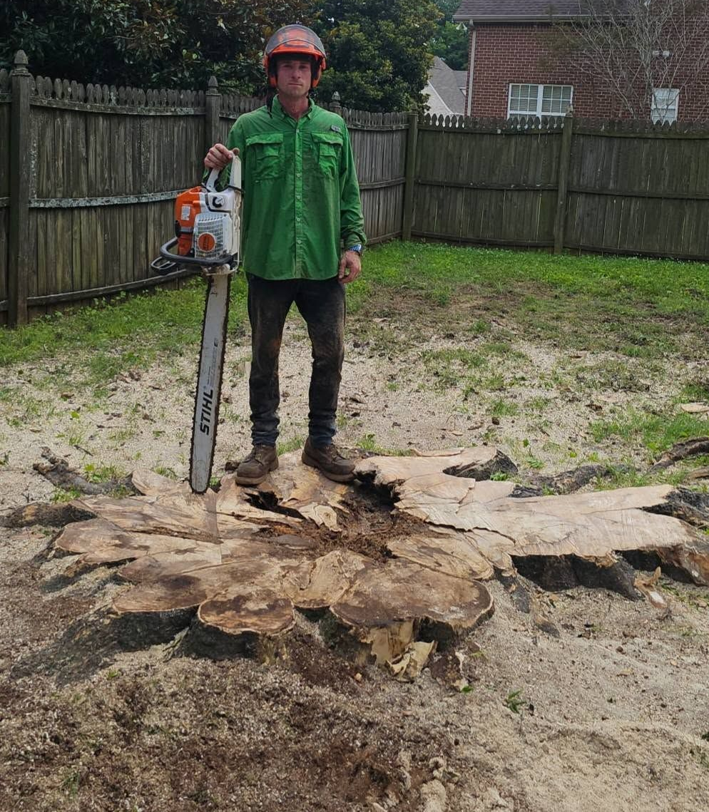 Person holding a chainsaw stands beside a large tree stump in a backyard.