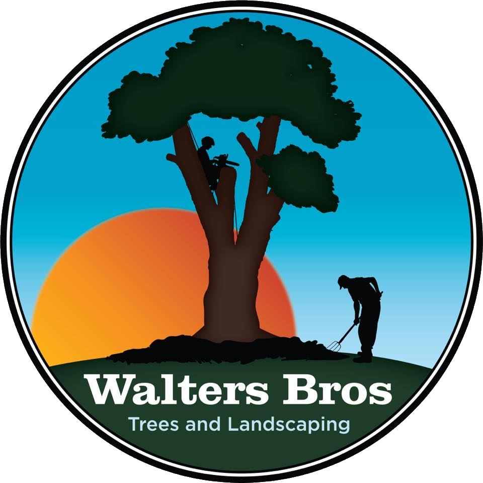 Walters Bros Trees and Landscaping logo with tree silhouette, orange sun, and worker silhouette