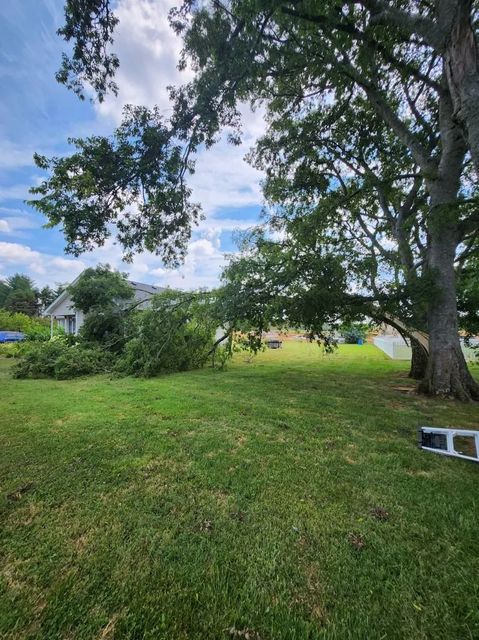 Grassy backyard with trees framing a cloudy sky and a glimpse of a house in the distance