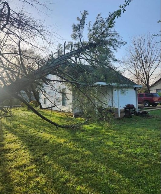 Downed tree limb over a white house and green lawn in a sunny yard