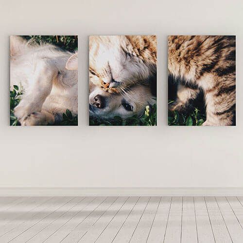 SPLIT PANEL CANVAS