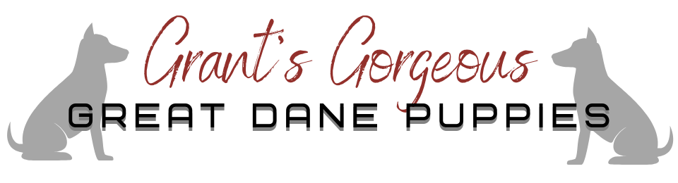 Logo for Grant’s Gorgeous Great Dane Puppies with gray dog silhouettes and red script text