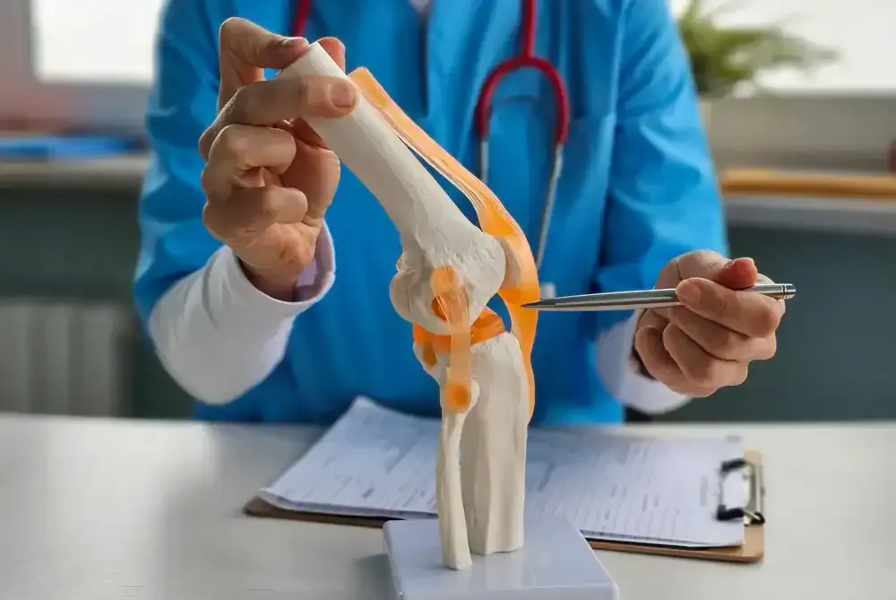Medical professional demonstrating a knee joint model on a desk with clipboard and stethoscope