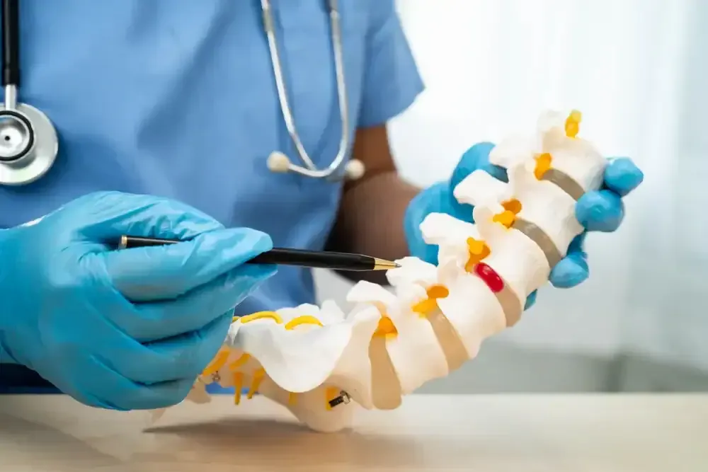 Gloved hands demonstrating spinal alignment on a model with a black tool in a medical setting
