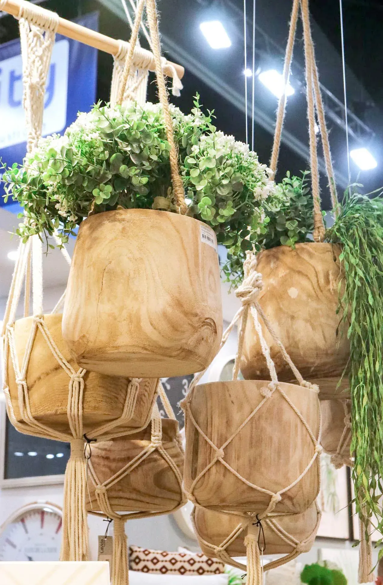Hanging woven planters with trailing green plants at an indoor market stall