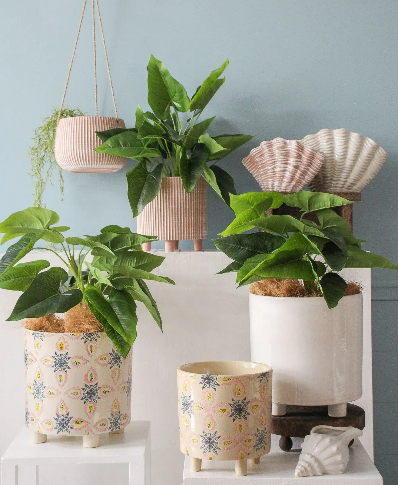 Potted green houseplants in pastel decorative planters arranged on a shelf against a light wall
