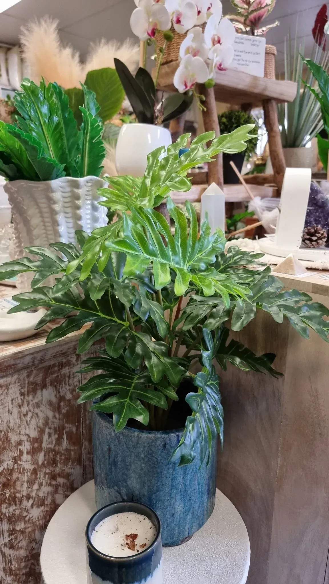 Potted green plant in a blue textured vase on a table, with other decor and flowers in the background