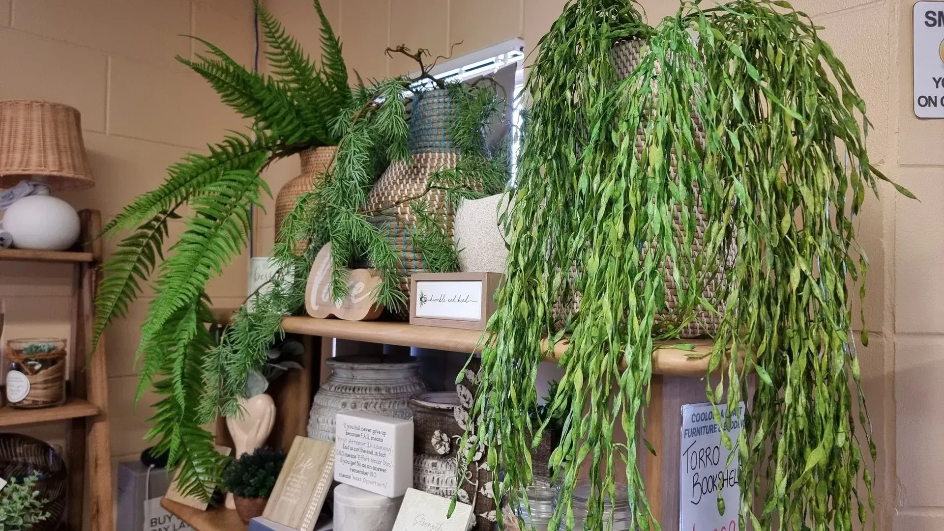 Indoor shelf with lush potted hanging plants and decorative items in a cozy room