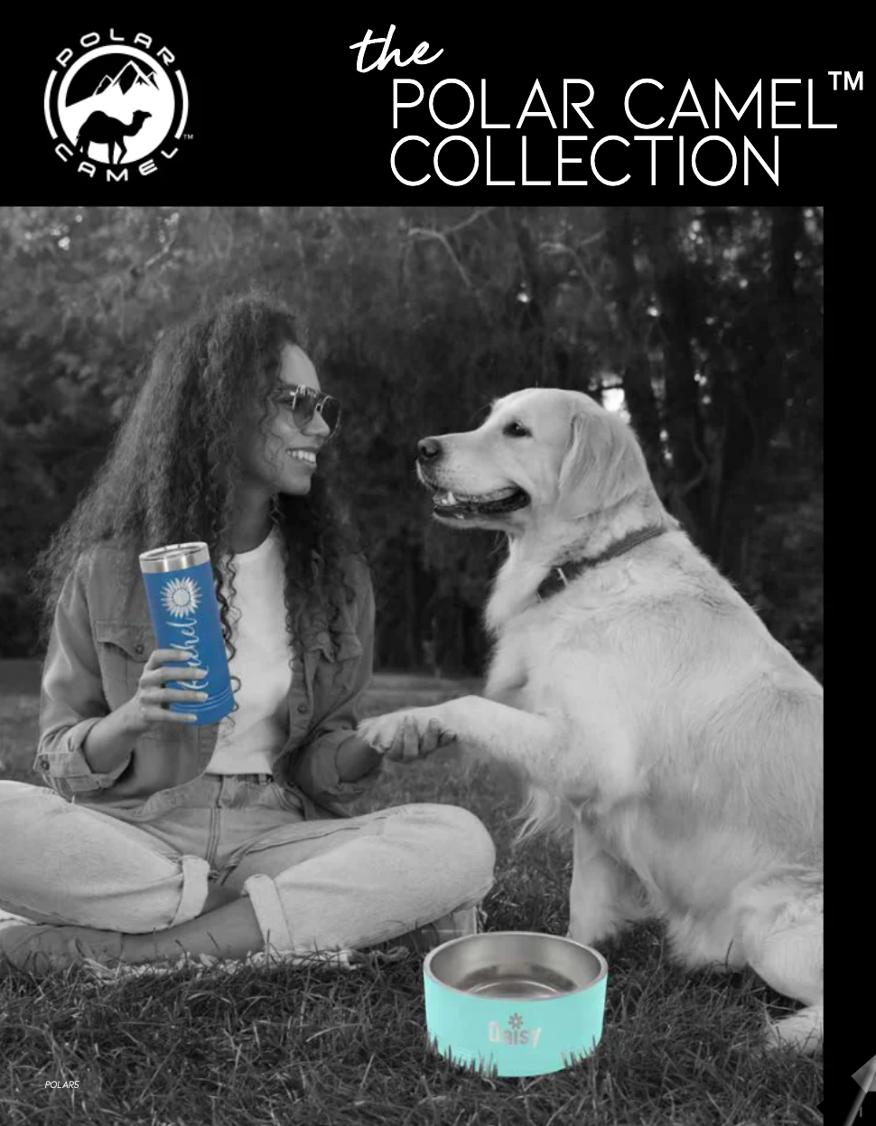 A woman is sitting on the grass next to a dog and a bowl of water.